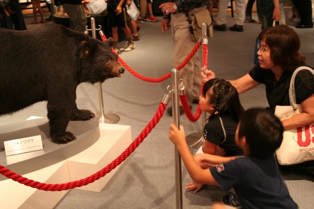 子ども生き物調査隊！（加東市「まちまるごとミュージアム」）が